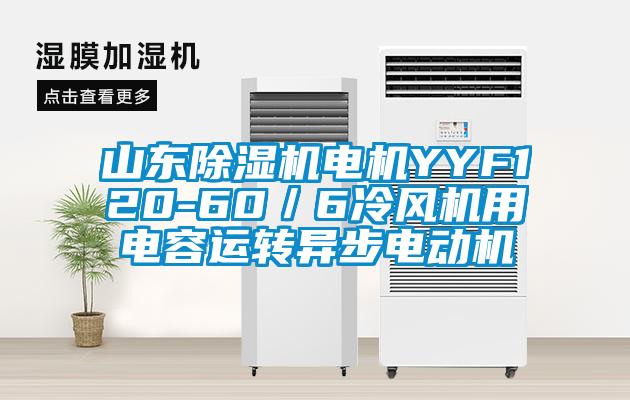 山东好色先生污污版电机YYF120-60／6冷风机用电容运转异步电动机