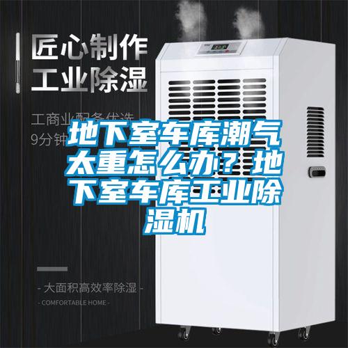 地下室车库潮气太重怎么办？地下室车库工业好色先生污污版