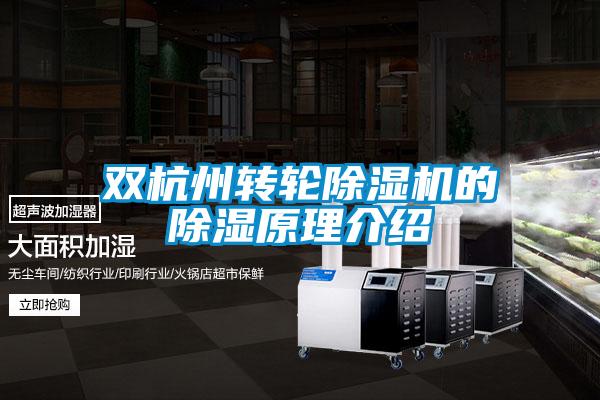 双杭州转轮好色先生污污版的除湿原理介绍