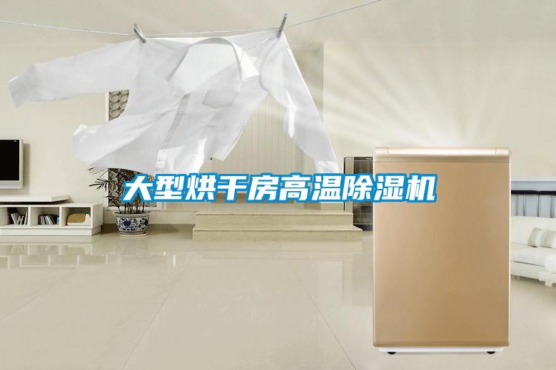 大型烘干房高温好色先生污污版