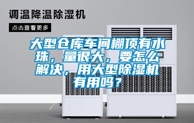 大型仓库车间棚顶有水珠，量很大，要怎么解决，用大型好色先生污污版有用吗？