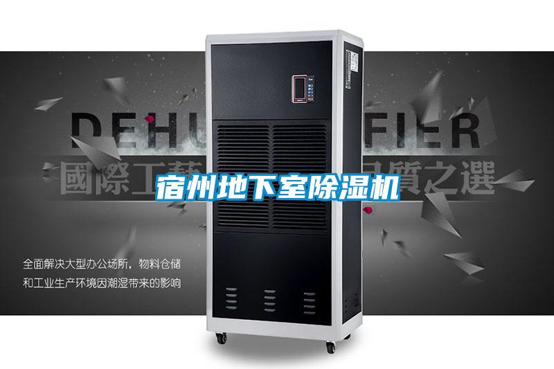 宿州地下室好色先生污污版