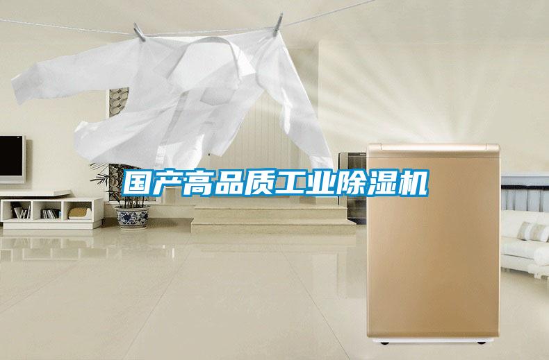 国产高品质工业好色先生污污版