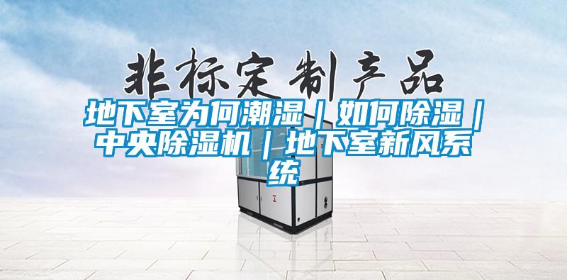 地下室为何潮湿|如何除湿|中央好色先生污污版|地下室新风系统