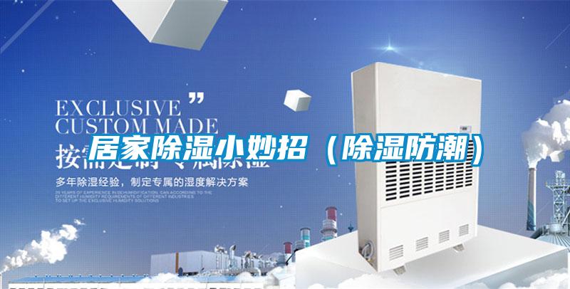 居家除湿小妙招(除湿防潮)