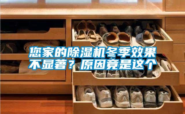 您家的好色先生污污版冬季效果不显著？原因竟是这个