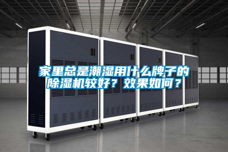 家里总是潮湿用什么牌子的好色先生污污版较好？效果如何？