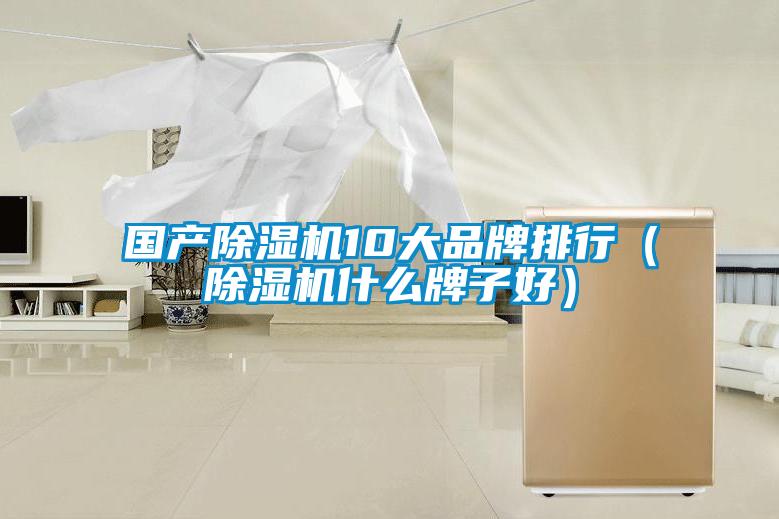 国产好色先生污污版10大品牌排行(好色先生污污版什么牌子好)