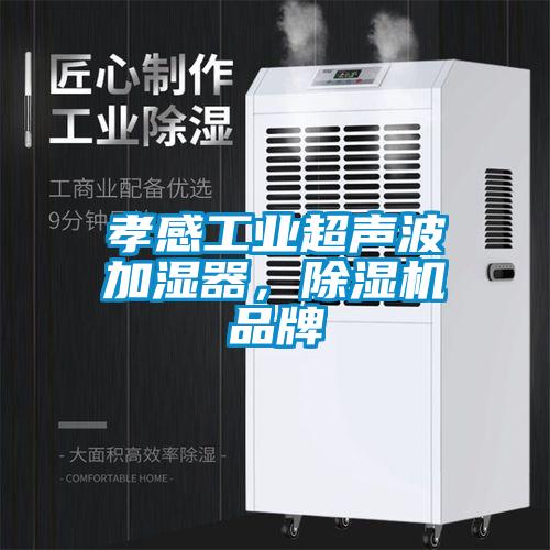 孝感工业超声波加湿器，好色先生污污版品牌