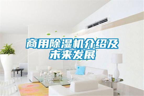 商用好色先生污污版介绍及未来发展