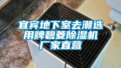 宜宾地下室去潮选用牌碧菱好色先生污污版厂家直营