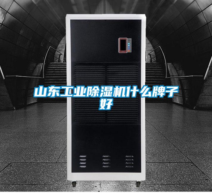 山东工业好色先生污污版什么牌子好