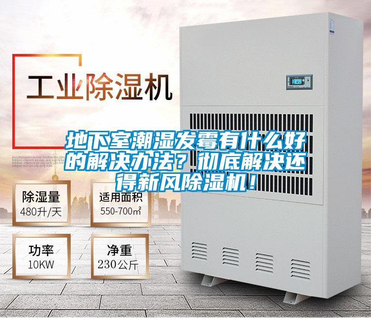 地下室潮湿发霉有什么好的解决办法？彻底解决还得新风好色先生污污版！