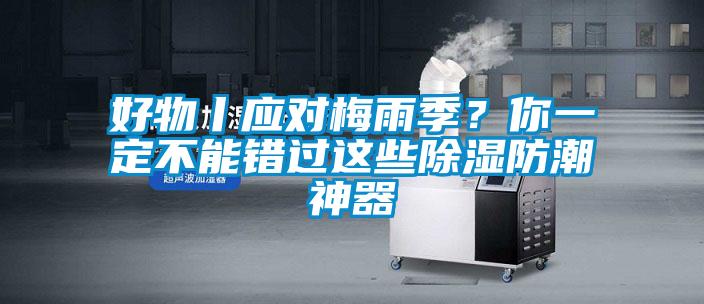 好物丨应对梅雨季？你一定不能错过这些除湿防潮神器
