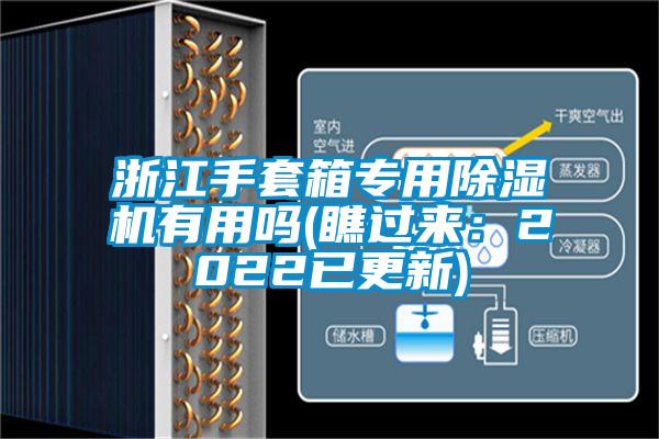 浙江手套箱专用好色先生污污版有用吗(瞧过来：2022已更新)