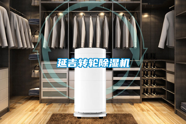 延吉转轮好色先生污污版