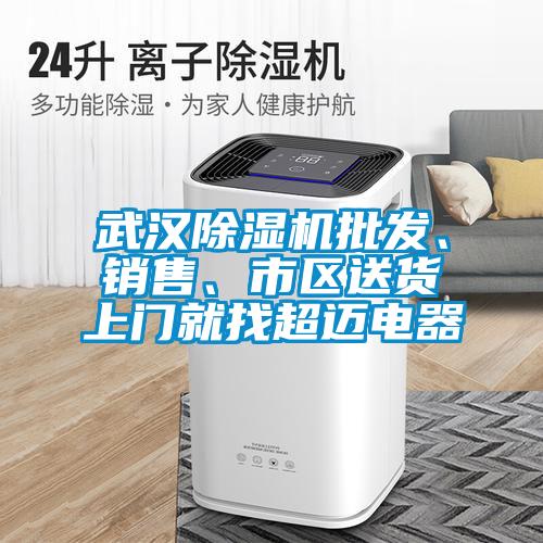 武汉好色先生污污版批发、销售、市区送货上门就找超迈电器