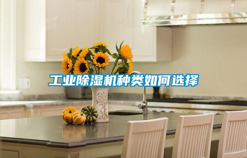 工业好色先生污污版种类如何选择