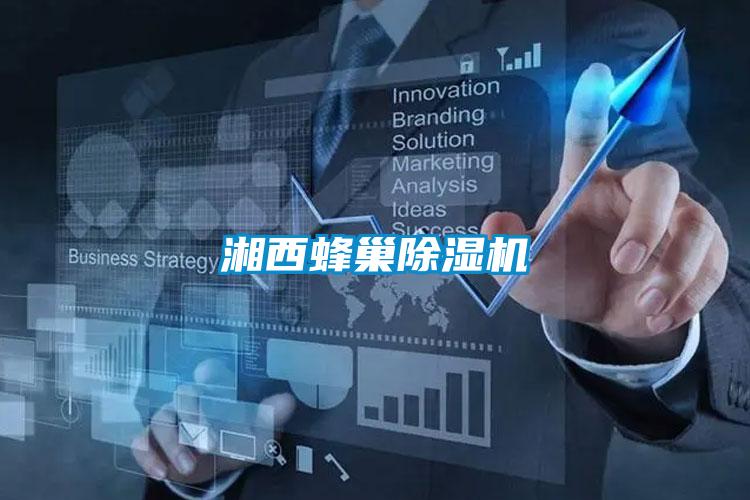 湘西蜂巢好色先生污污版