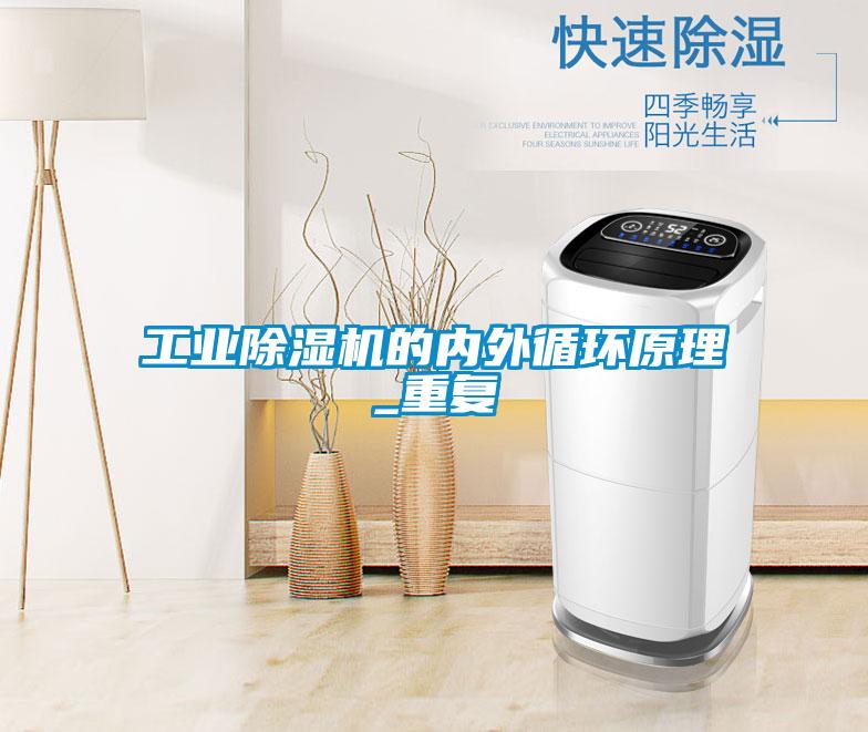 工业好色先生污污版的内外循环原理_重复