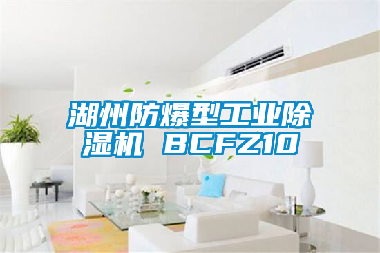 湖州防爆型工业好色先生污污版 BCFZ10