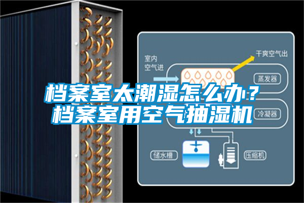 档案室太潮湿怎么办？档案室用空气抽湿机