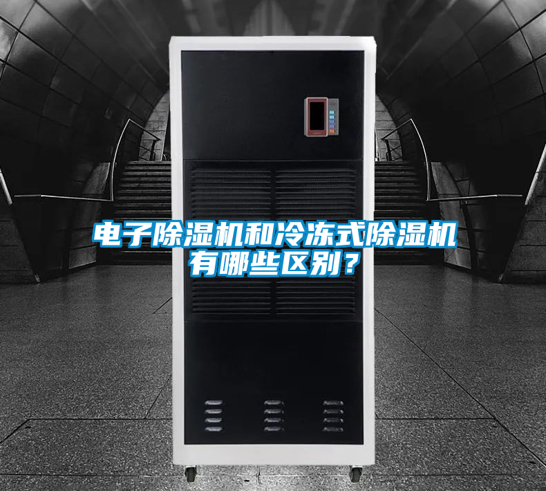 电子好色先生污污版和冷冻式好色先生污污版有哪些区别？