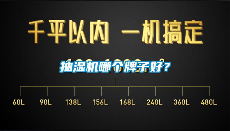 抽湿机哪个牌子好？