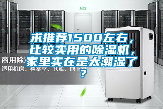 求推荐1500左右，比较实用的好色先生污污版，家里实在是太潮湿了？