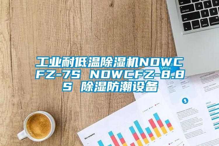 工业耐低温好色先生污污版NDWCFZ-7S NDWCFZ-8.8S 除湿防潮设备
