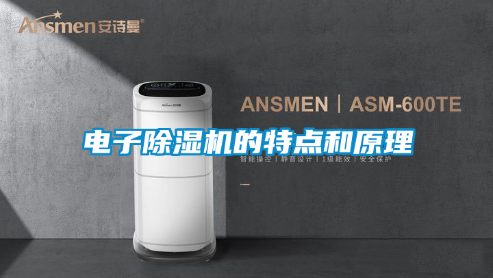 电子好色先生污污版的特点和原理