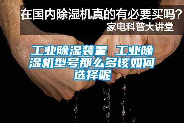 工业除湿装置 工业好色先生污污版型号那么多该如何选择呢