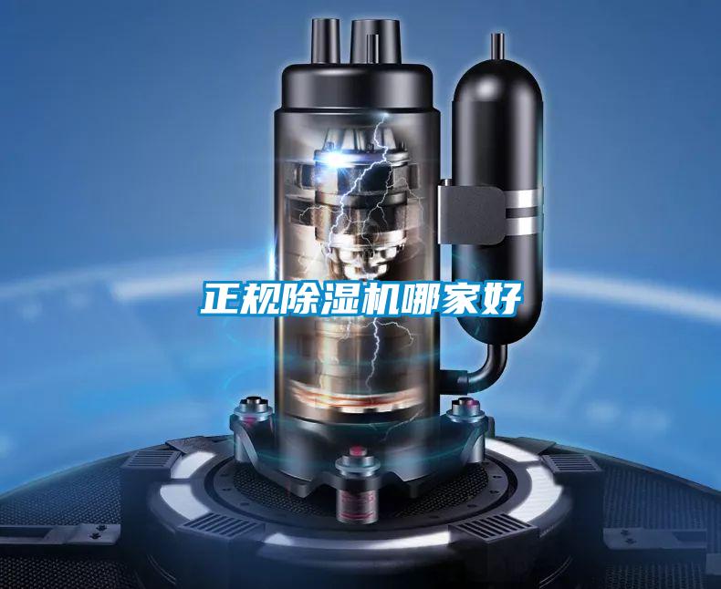 正规好色先生污污版哪家好