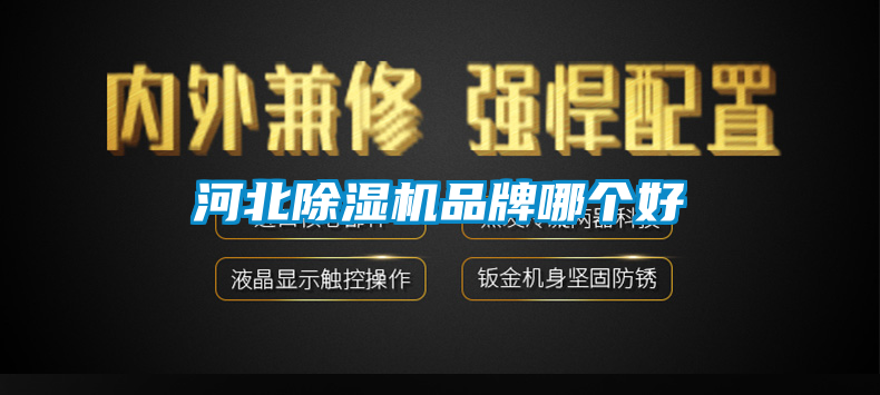 河北好色先生污污版品牌哪个好