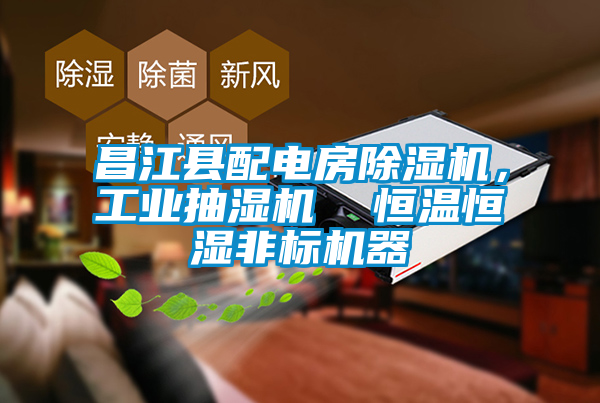 昌江县配电房好色先生污污版，工业抽湿机  恒温恒湿非标机器