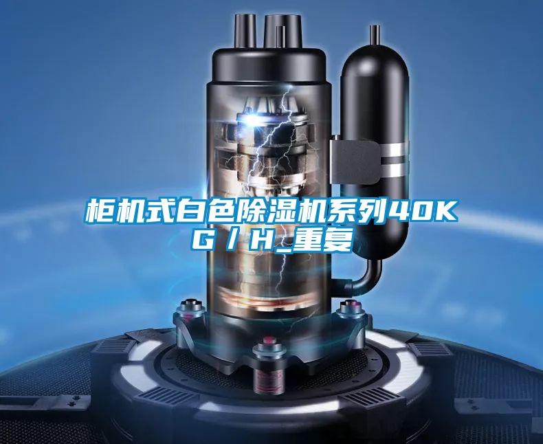 柜机式白色好色先生污污版系列40KG/H_重复