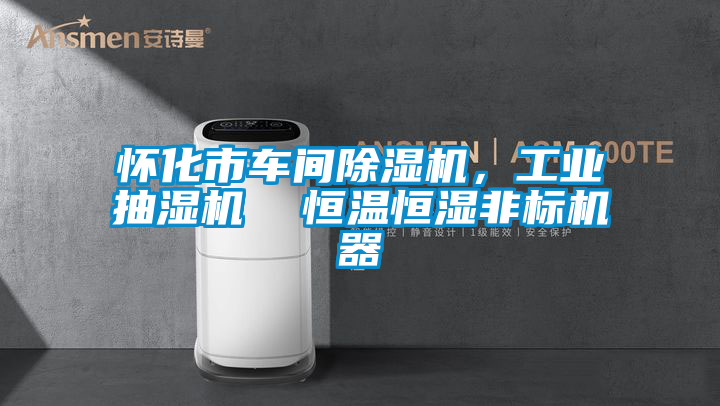 怀化市车间好色先生污污版，工业抽湿机  恒温恒湿非标机器