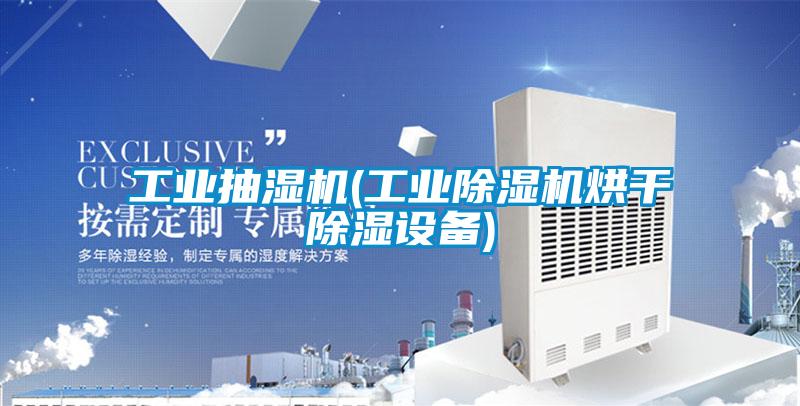 工业抽湿机(工业好色先生污污版烘干除湿设备)