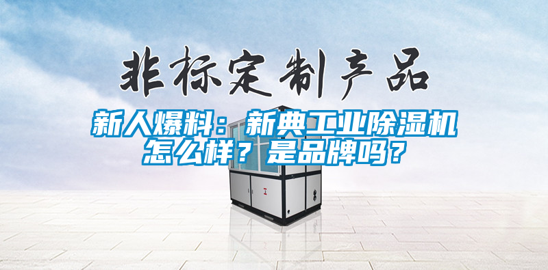 新人爆料：新典工业好色先生污污版怎么样？是品牌吗？
