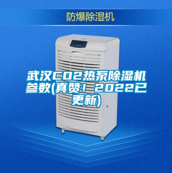 武汉CO2热泵好色先生污污版参数(真赞！2022已更新)