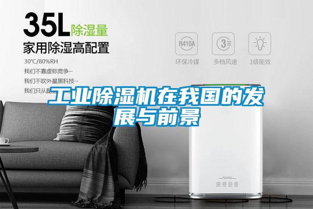 工业好色先生污污版在我国的发展与前景