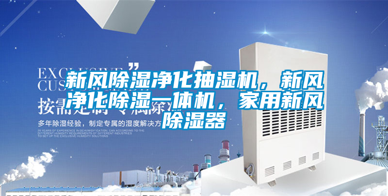 新风除湿净化抽湿机，新风净化除湿一体机，家用新风除湿器
