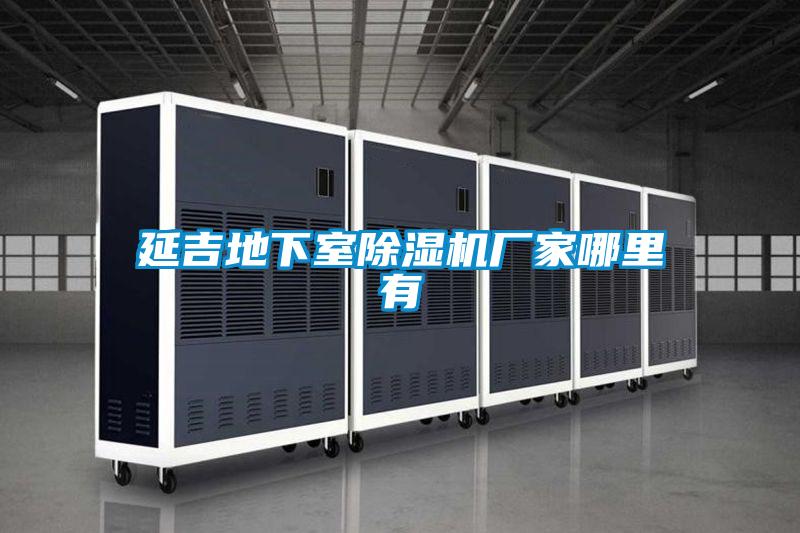 延吉地下室好色先生污污版厂家哪里有