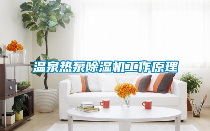 温泉热泵好色先生污污版工作原理