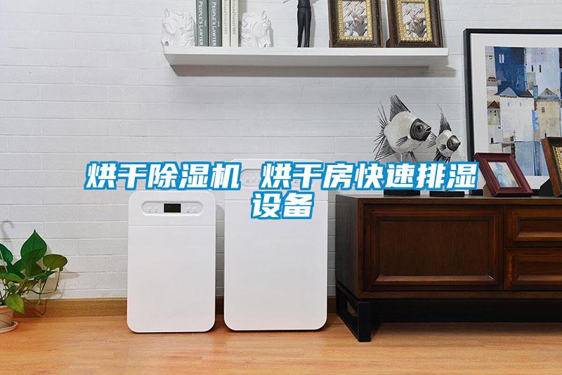 烘干好色先生污污版 烘干房快速排湿设备