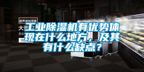 工业好色先生污污版有优势体现在什么地方，及其有什么缺点？