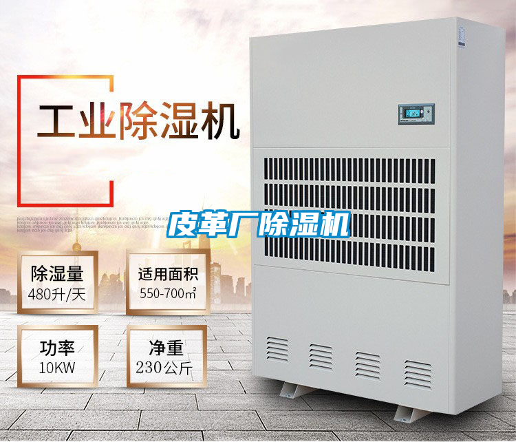 皮革厂好色先生污污版