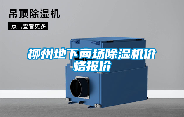 柳州地下商场好色先生污污版价格报价