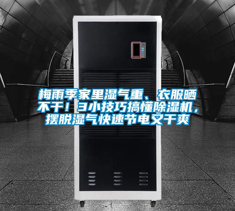 梅雨季家里湿气重、衣服晒不干！3小技巧搞懂好色先生污污版，摆脱湿气快速节电又干爽