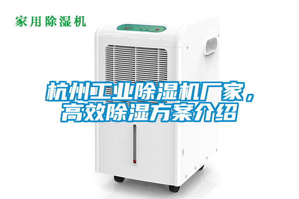 杭州工业好色先生污污版厂家，高效除湿方案介绍